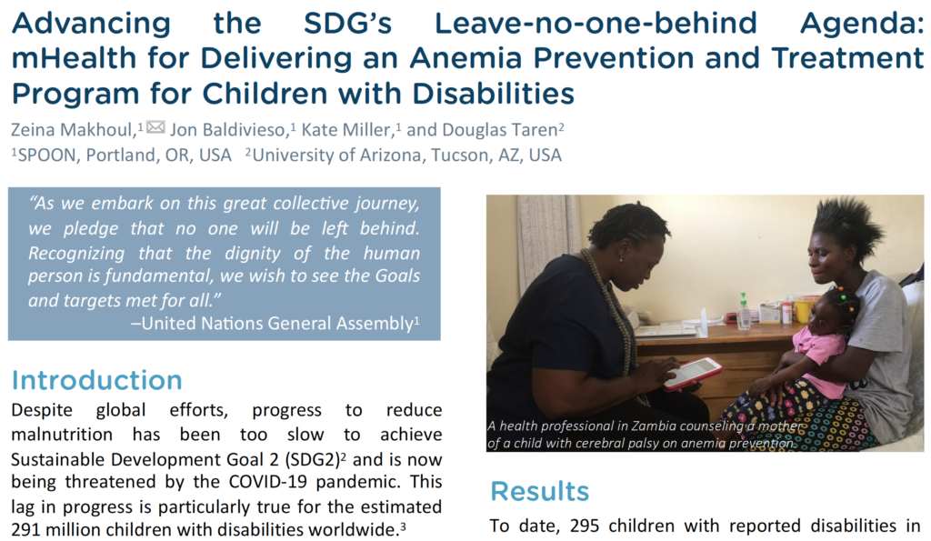 Screenshot of paper SPOON published on Advancing the SDG's Leave-no-one-behind Agenda