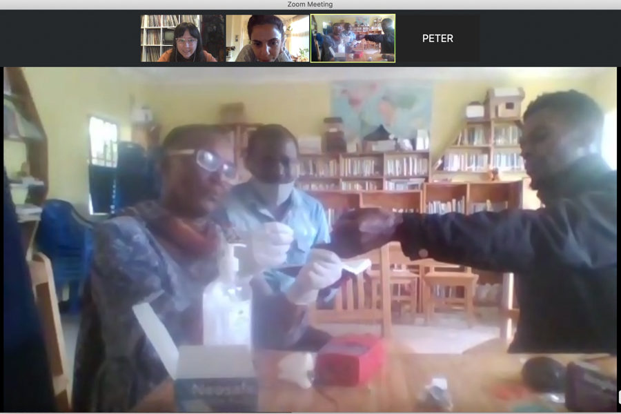 Screenshot of a Zoom meeting with trainees practicing testing for anemia