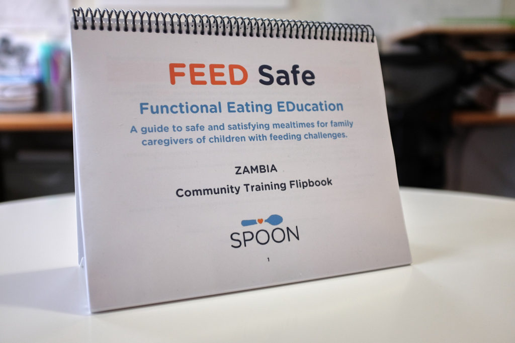 Cover of the FEED Safe flipbook for Zambia, Functional Eating Education